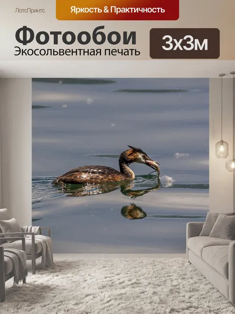 Фотообои Птица