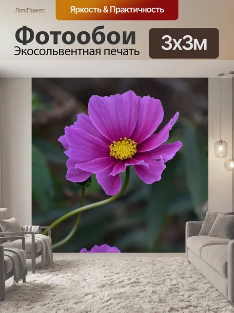 Фотообои Цветы