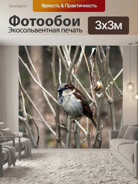 Фотообои Воробей