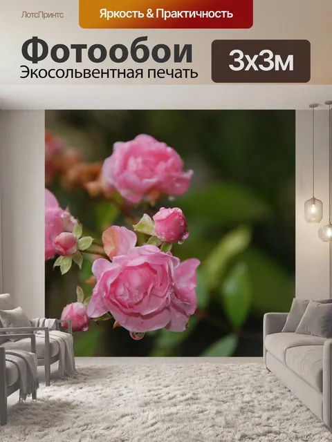 Фотообои Розы