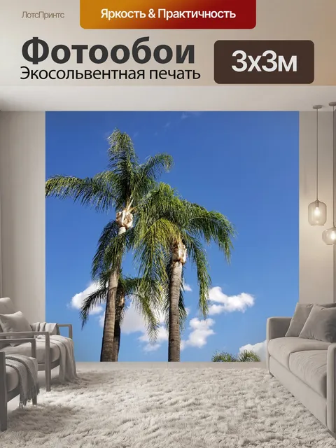 Фотообои Калифорнийские пальмовые деревья