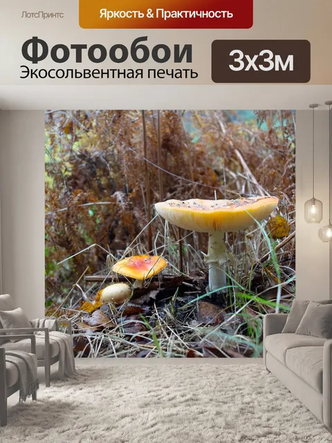 Фотообои Осень