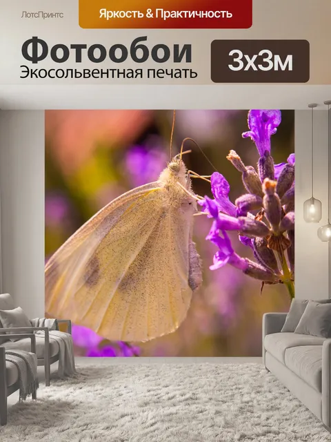 Фотообои Бабочка