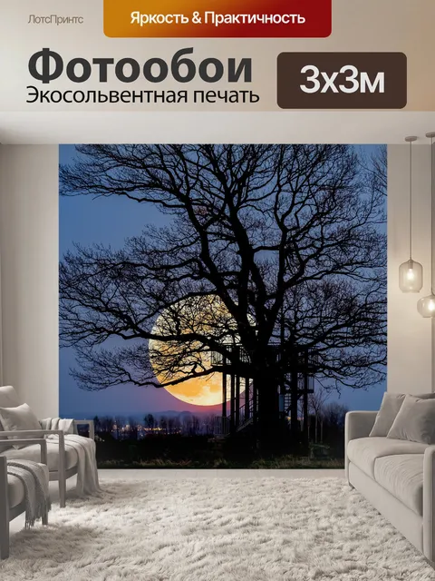 Фотообои Луна