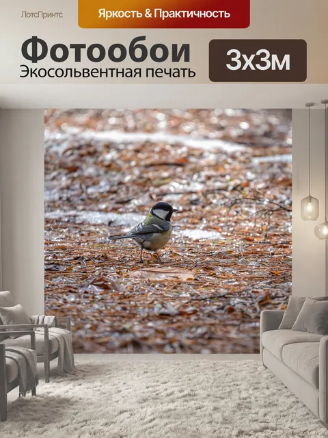 Фотообои Животное