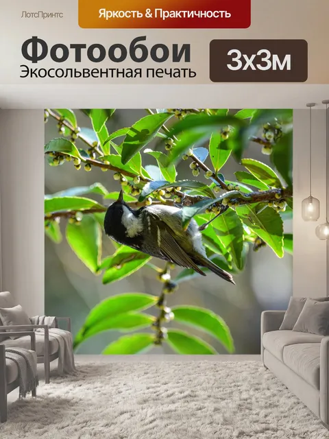 Фотообои Животное
