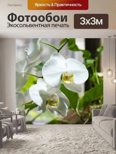 Фотообои Москве