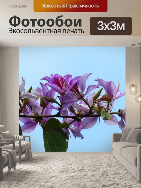 Фотообои Расцветает