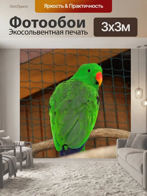 Фотообои Птица