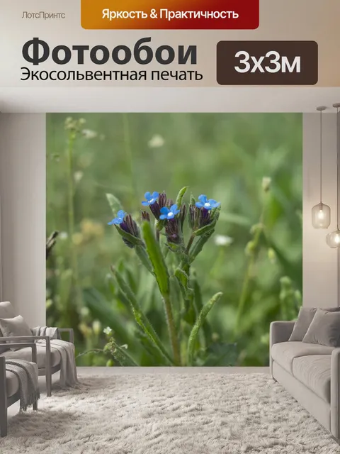 Фотообои Цветы