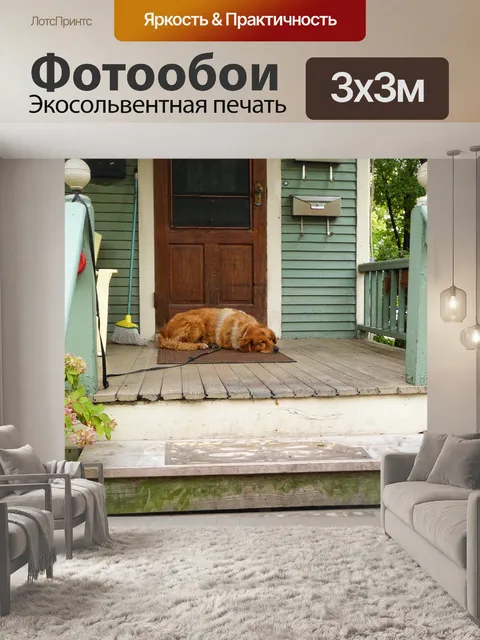 Фотообои Собака спит на крыльце