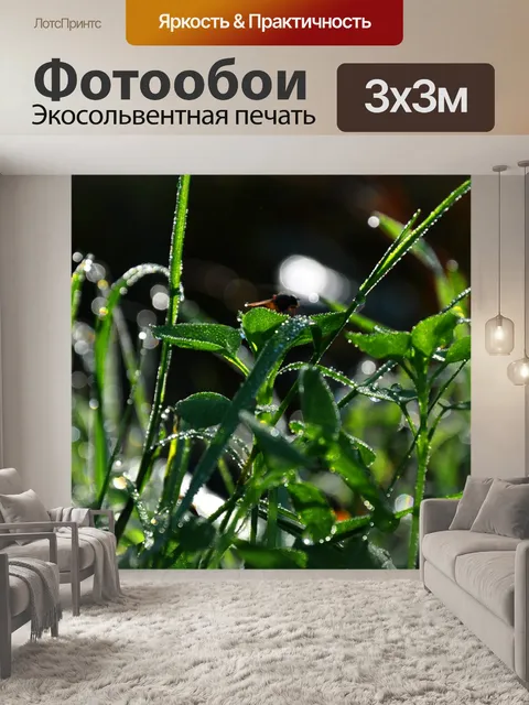 Фотообои Лес