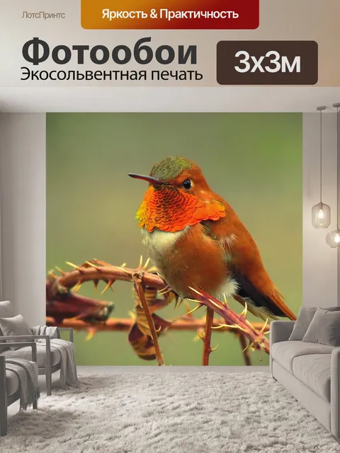 Фотообои Птица