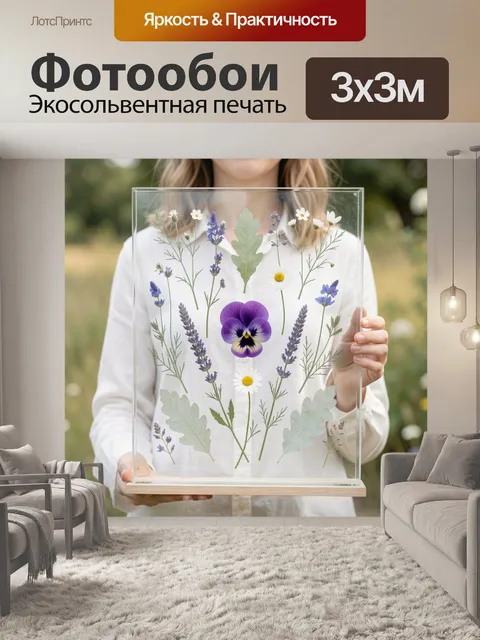 Фотообои Гербарий полевых цветов и трав
