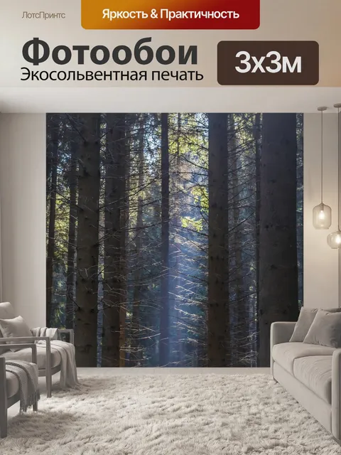 Фотообои Лес