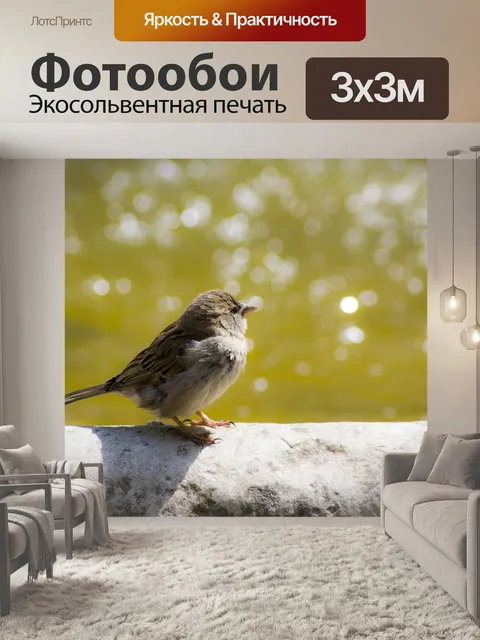 Фотообои Воробей