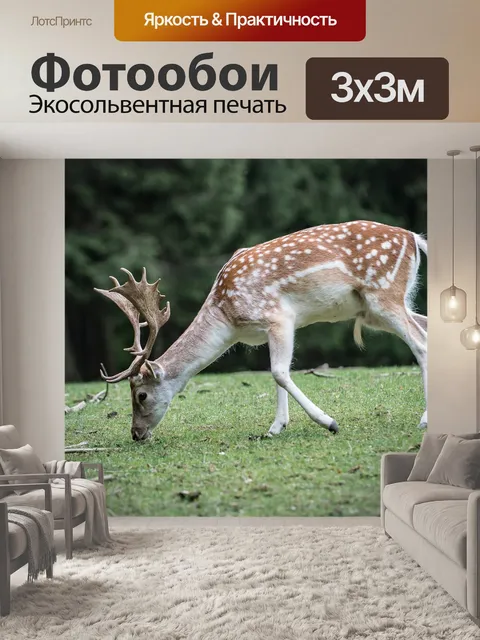 Фотообои Природа