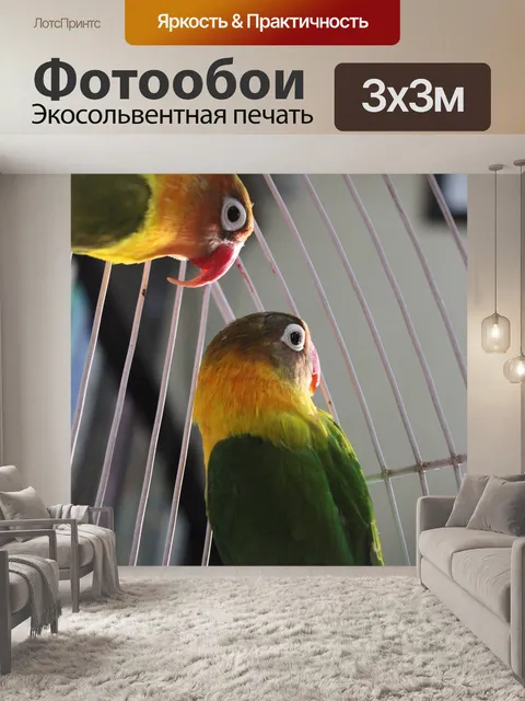 Фотообои Птица