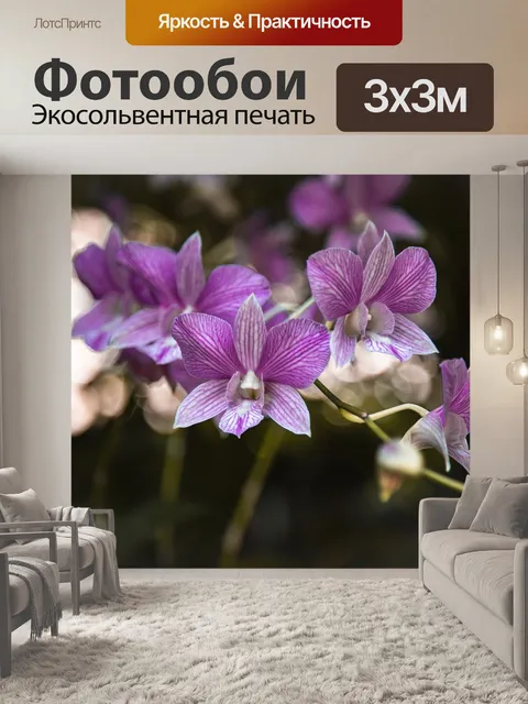 Фотообои Фиолетовые орхидеи
