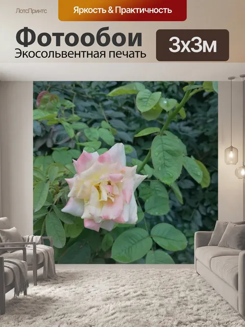 Фотообои Пейзаж