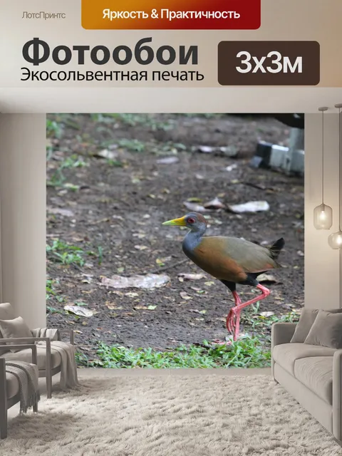 Фотообои Серая шея Деревянная шина