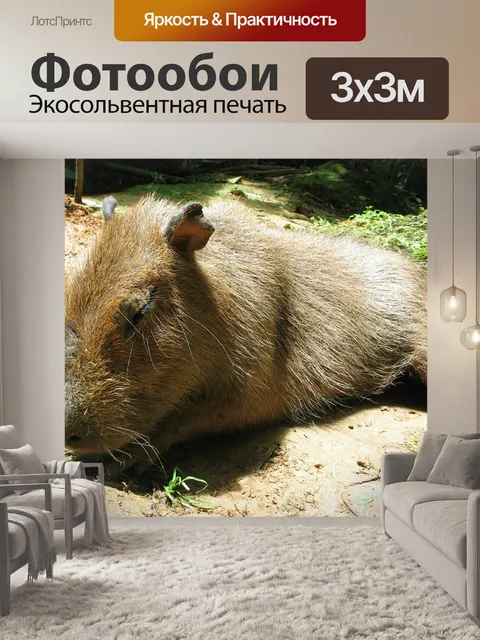 Фотообои Капибара
