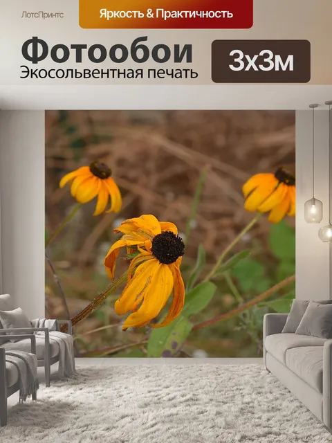 Фотообои Цветы