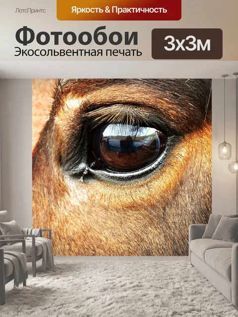 Фотообои Лошадь