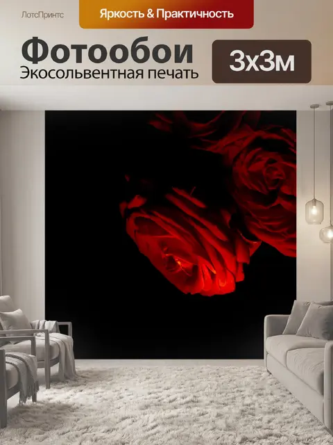 Фотообои красная роза