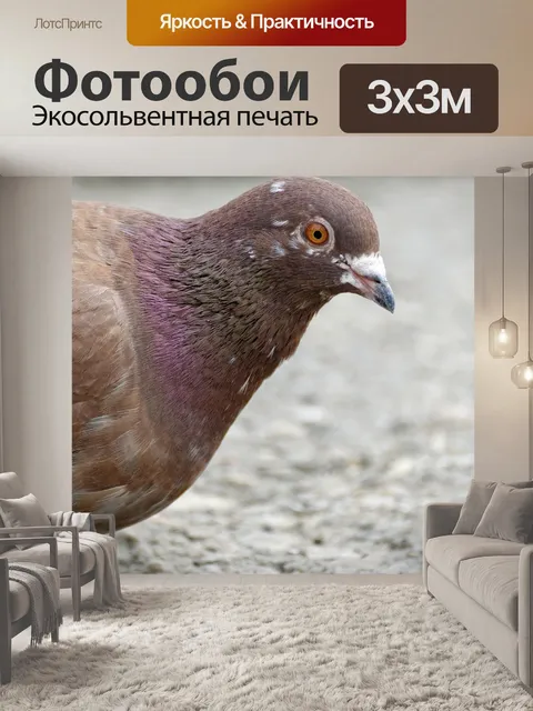 Фотообои Птица