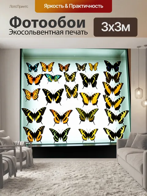 Фотообои коллекция редких бабочек в стеклянном контейнере