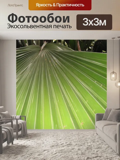 Фотообои Лист