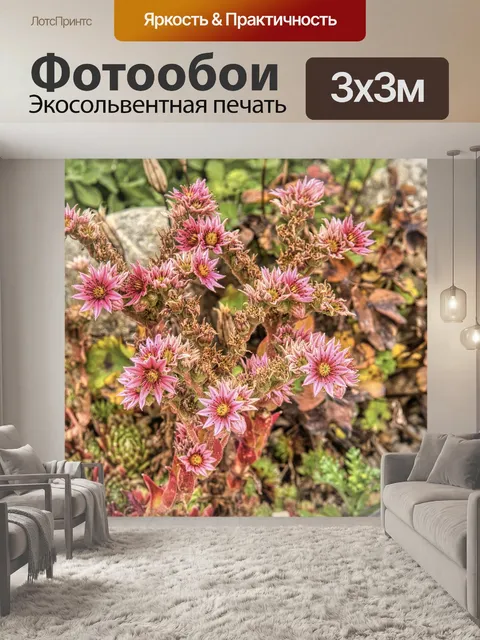 Фотообои Цветы
