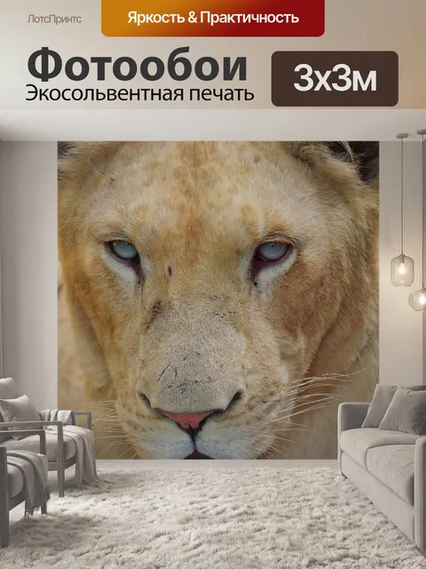 Фотообои Лев