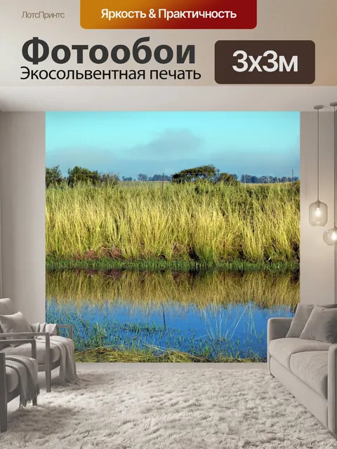 Фотообои Трава