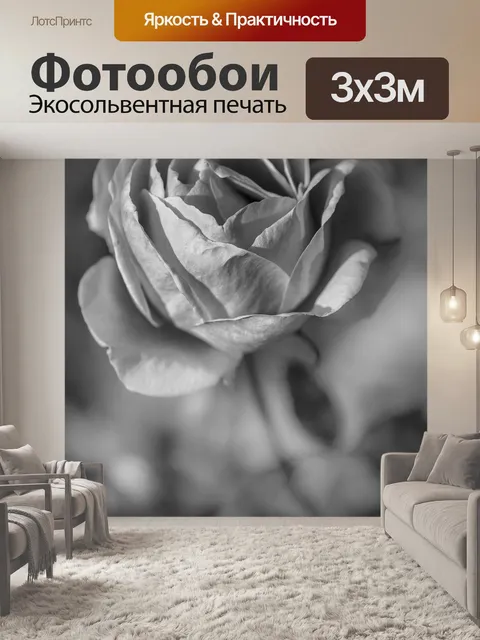 Фотообои Роза