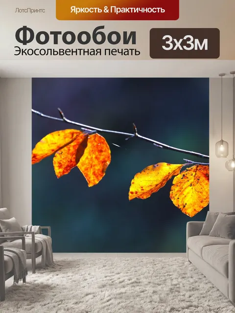 Фотообои Осень