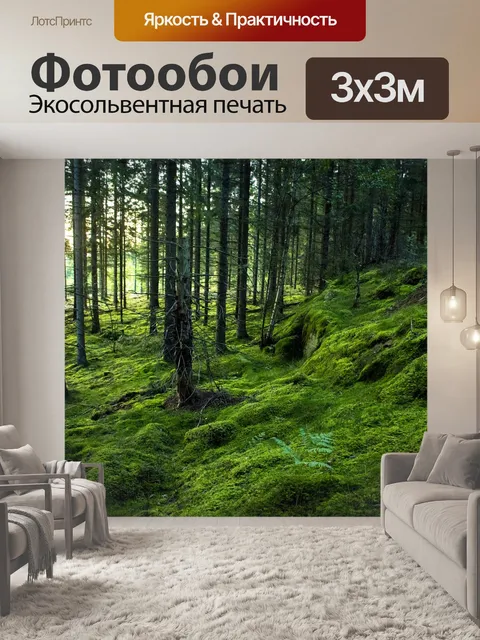 Фотообои Лес