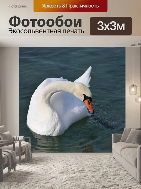 Фотообои Животные