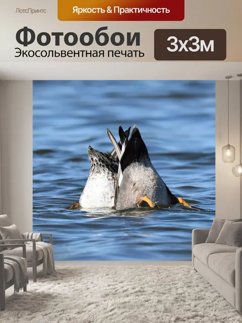 Фотообои Птицы