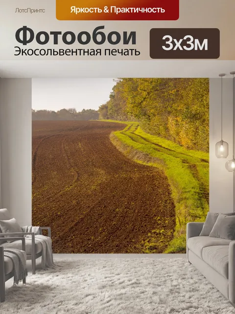 Фотообои Поля