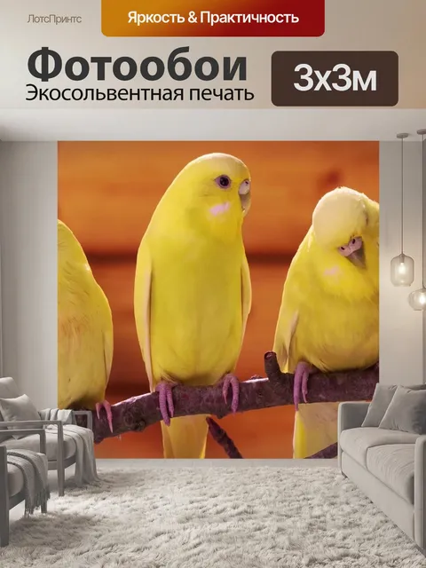 Фотообои Испания