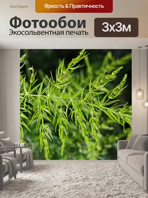 Фотообои нежные листья дикой спаржи