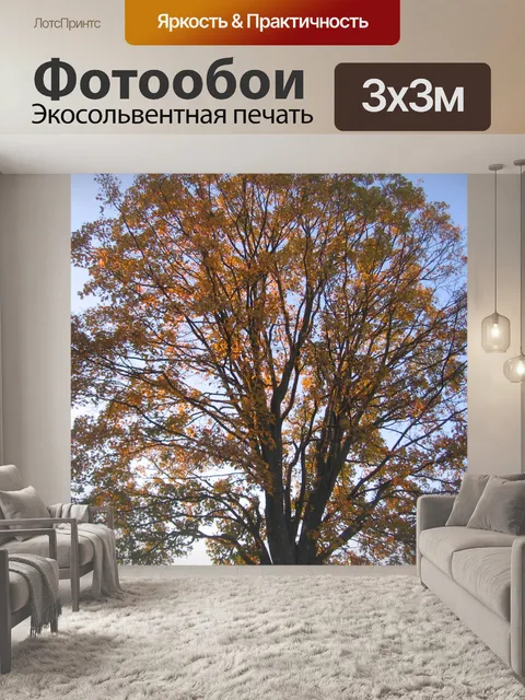 Фотообои Верхушка дерева