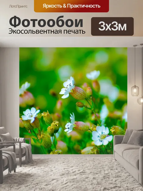 Фотообои Цветы