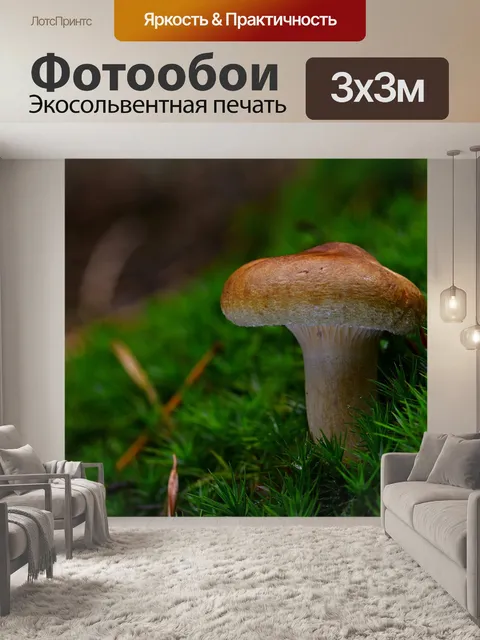 Фотообои Лес