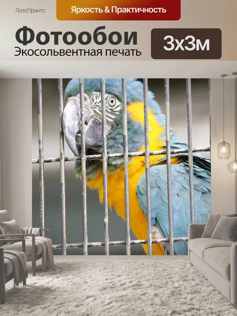 Фотообои Птица