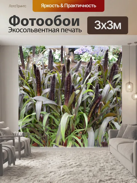Фотообои Голландские цветы в саду