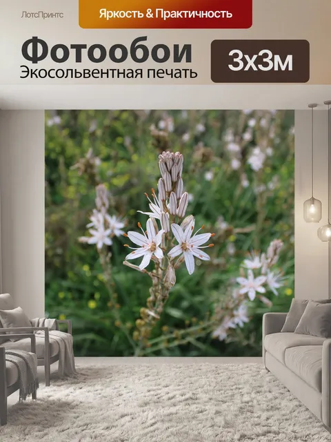 Фотообои Цветок