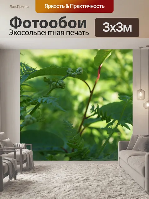 Фотообои Зеленый